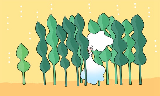 济南大学3+2留学计划外招生条件有哪些？学历被认可吗？
