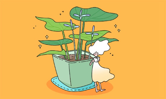 云南中医药大学2020年硕士研究生初试成绩查询